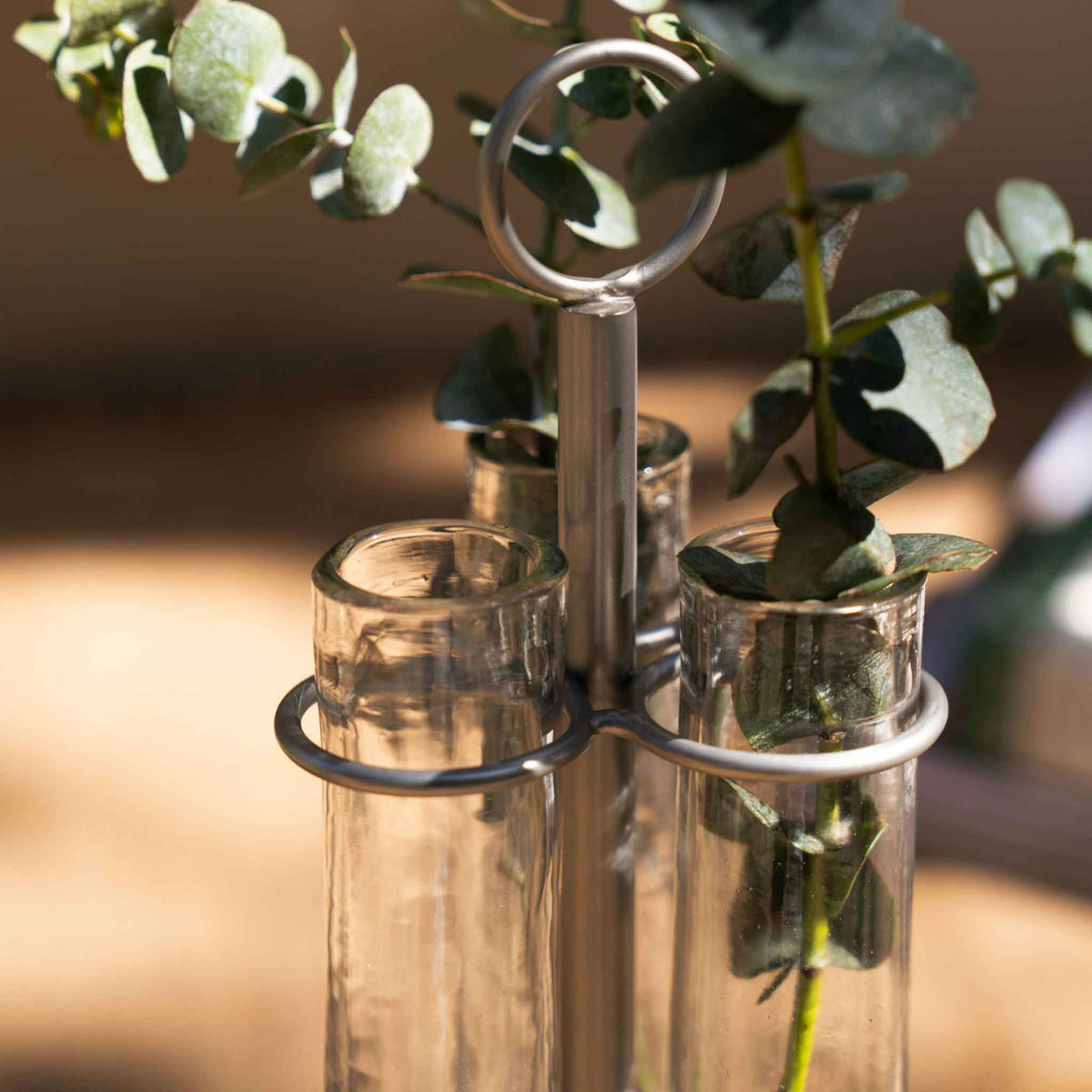 The collective glass bud vase with a silver metal stand and ring handle, holding green eucalyptus stems, set against a warm, softly blurred background.