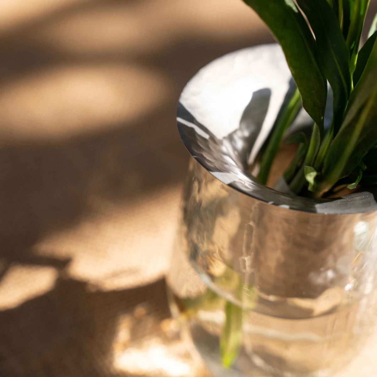 The Collective Hammered Glass Arranging Vases with a metallic silver rim, holding water and green plant leaves, set against a warm, sunlit beige background with soft shadows.