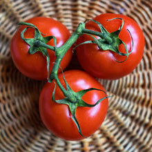 A cluster of Floradade red tomatoes with green stems in a basket.