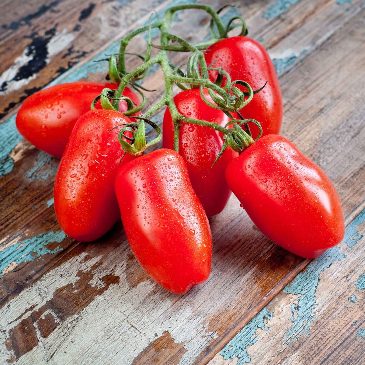 A cluster of red Roma VF tomato on the vine, with a wooden background.