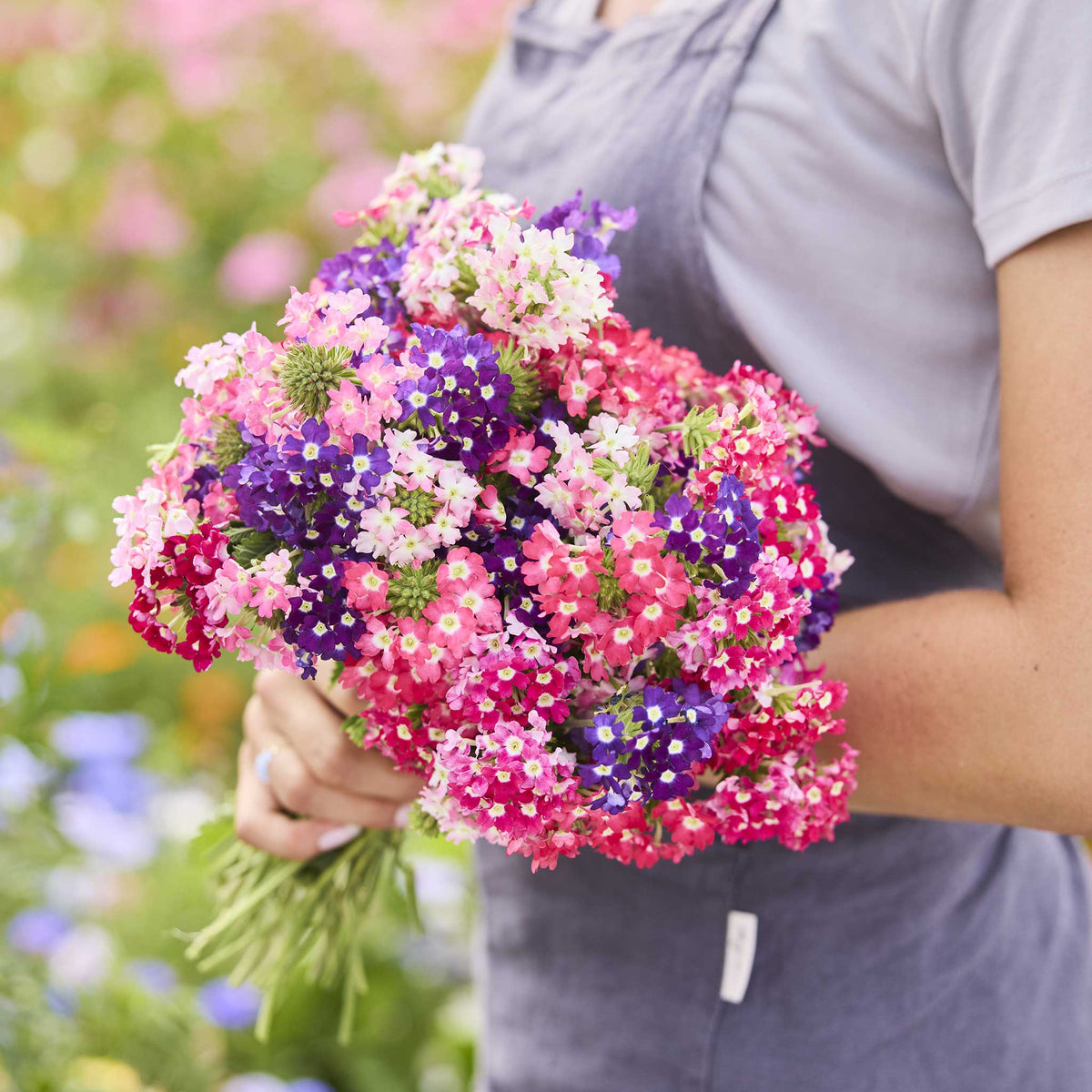 A person holding a bouquet of pink, purple, and white quartx mix verbena flowers in a natural setting