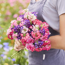A person holding a bouquet of pink, purple, and white quartx mix verbena flowers in a natural setting