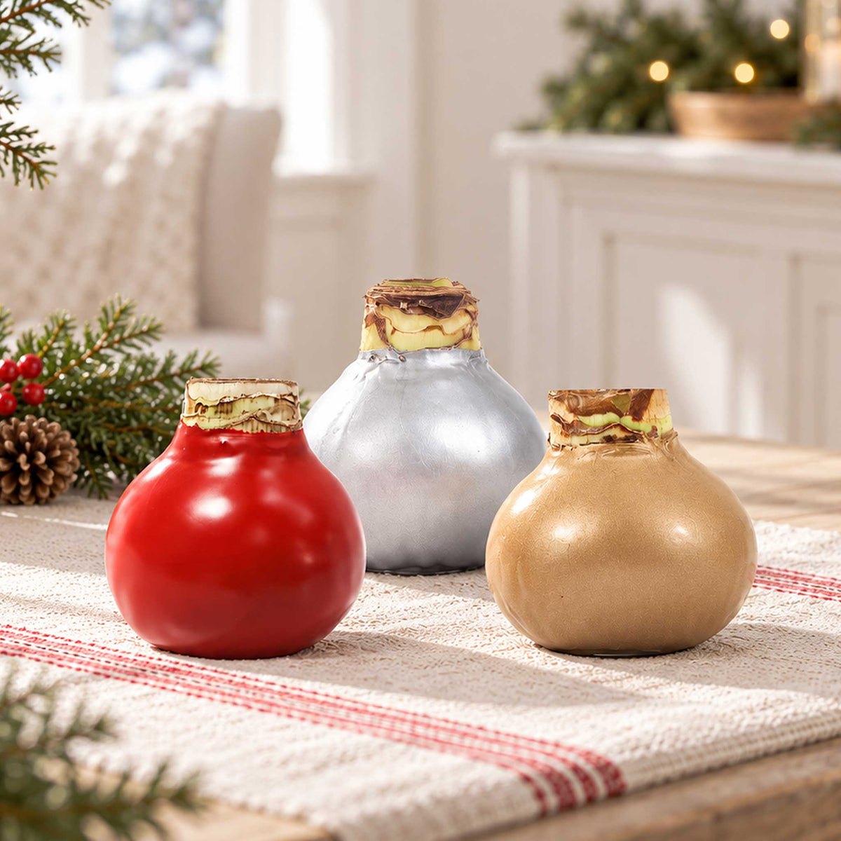Silver, red, and gold wax amaryllis bulb with red blooms in an indoor setting showing only the bulb
