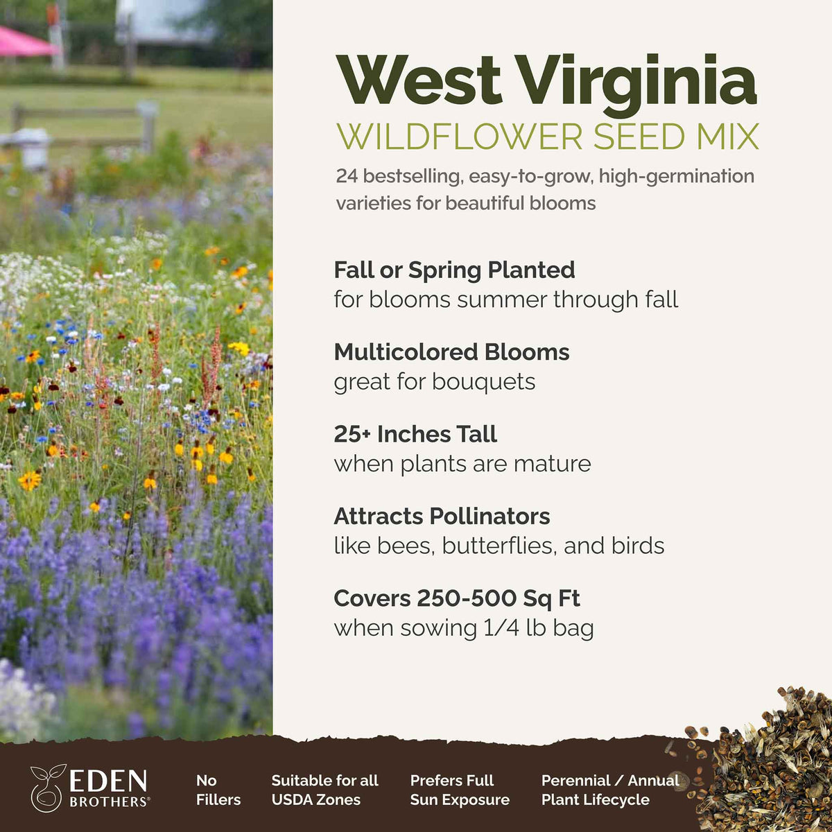 A visual overview of the wildflower seed mix, showcasing expected floral blooms.