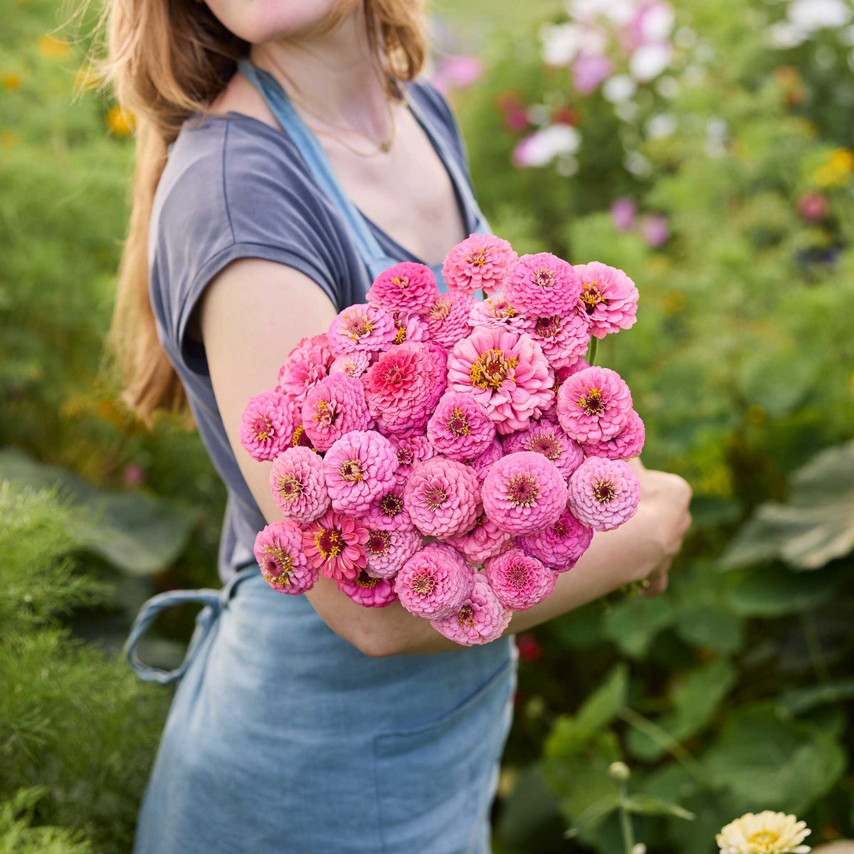 A person holding a bouquet of pink Zinnia Oklahoma Pink flowers in a garden setting.