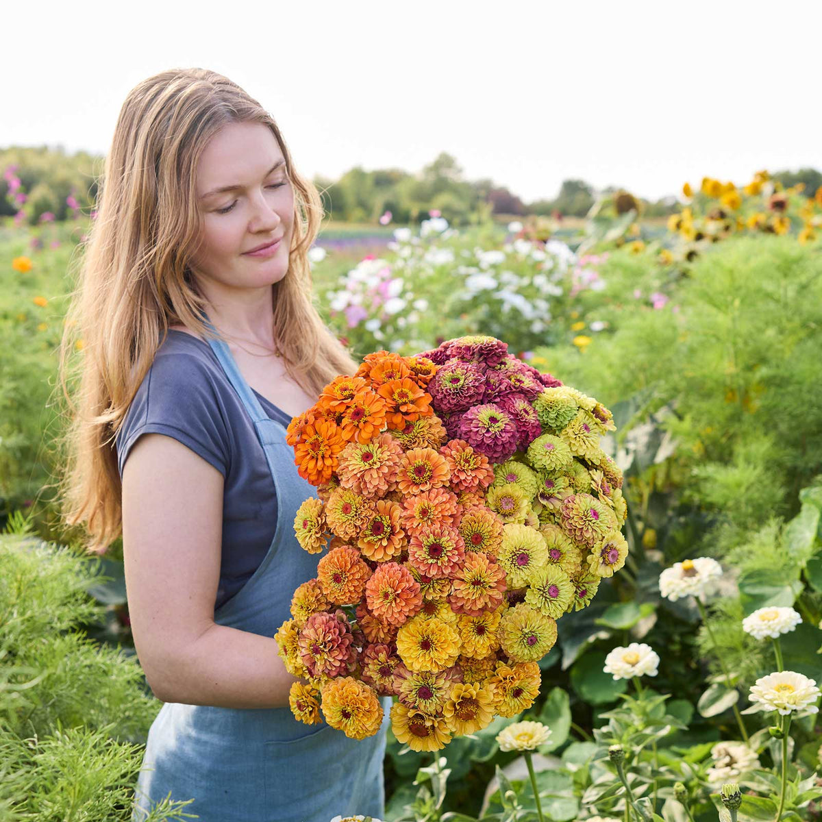 A person holding a bouquet of the zinnia bundle queeny series in a garden setting