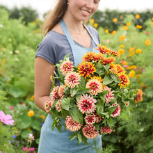 Person holding a bouquet of pink and red Zinnia Swizzle Cherry & Ivory flowers in a garden setting