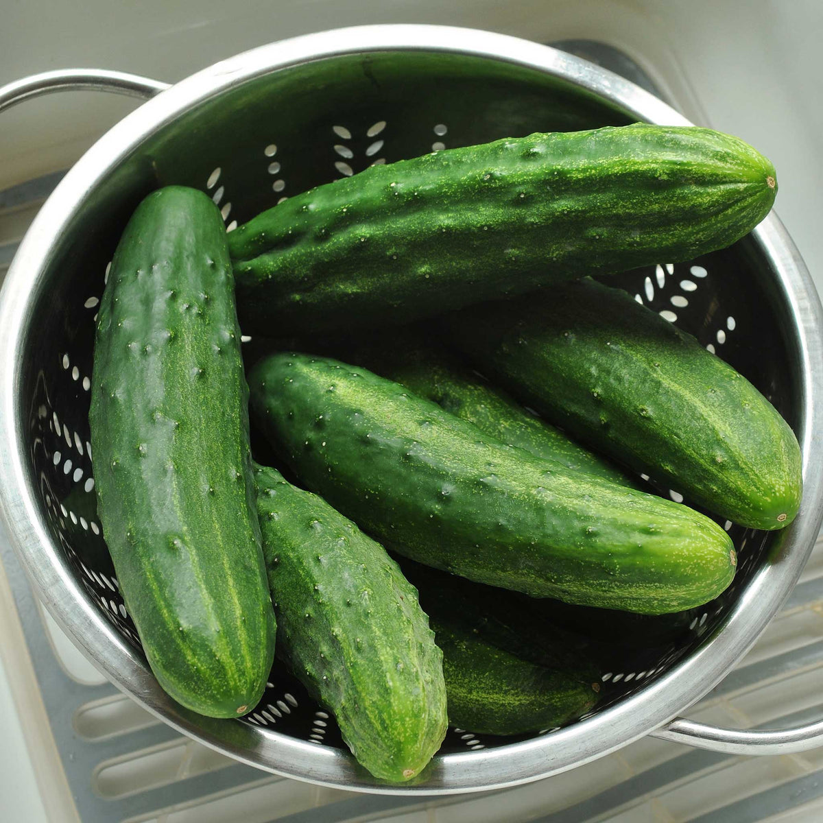 Freshly harvested Patio Snacker Cucumbers in a strainer just washed.