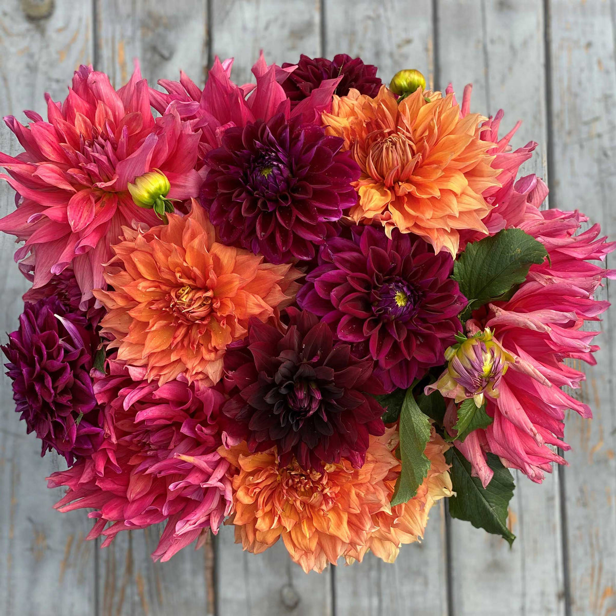 Overhead view of Passion Mix dahlia bouquet showing the vibrant red, orange, and pink colors on a wooden table.