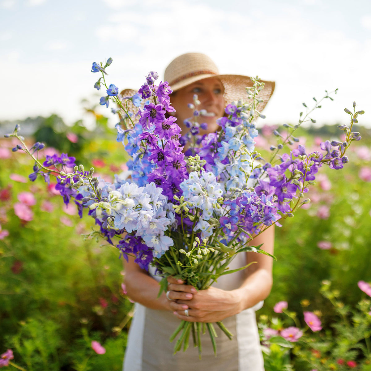 A person holding a bouquet of rocket larkspur flowers in a garden.