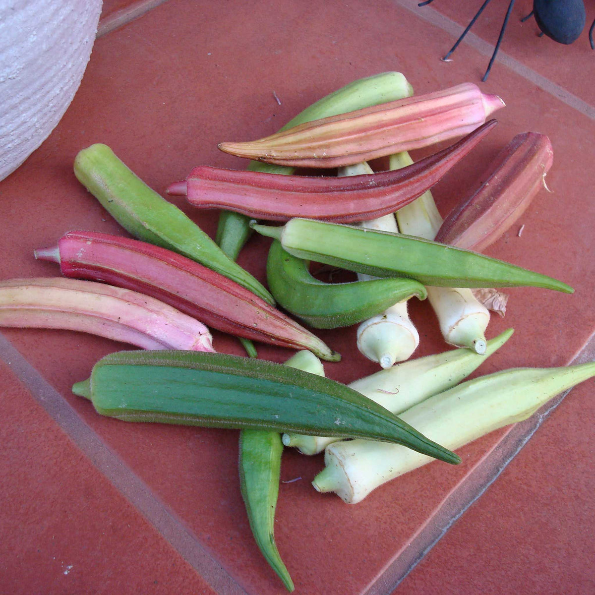Rainbow Fiesta Okra pods in various vibrant colors, including red, yellow, and green, are scattered on a red surface.