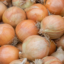 A close-up view of yellow sweet Spanish onions, showcasing their golden-brown skins and spherical shapes.