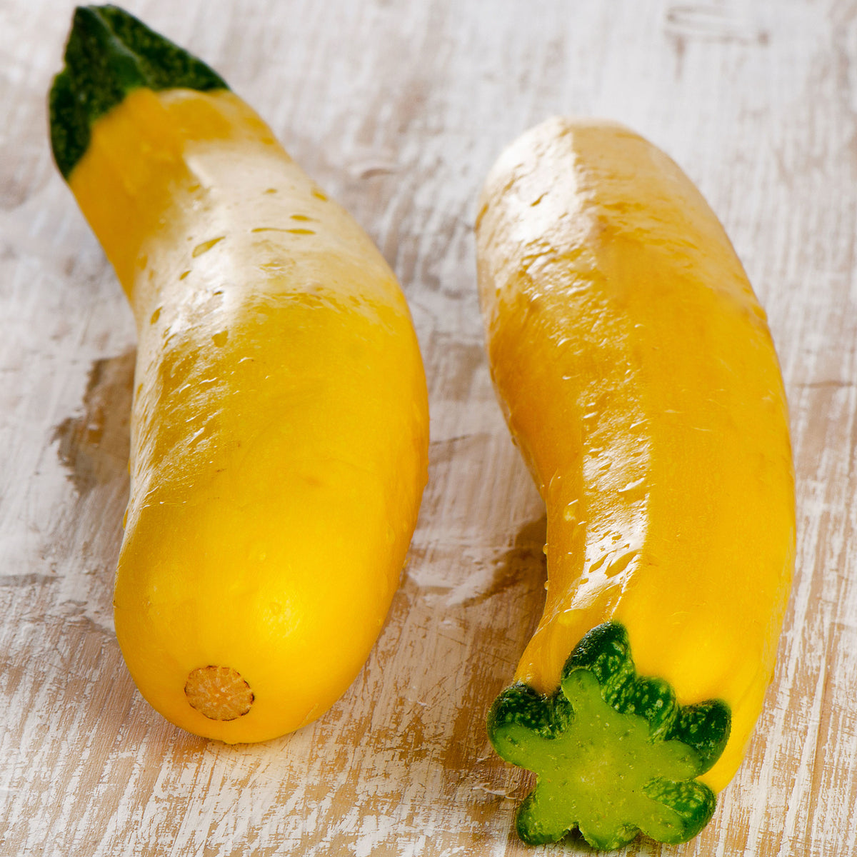 A shot of Early Prolific Straightneck squash showing their yelow skin and green stem.
