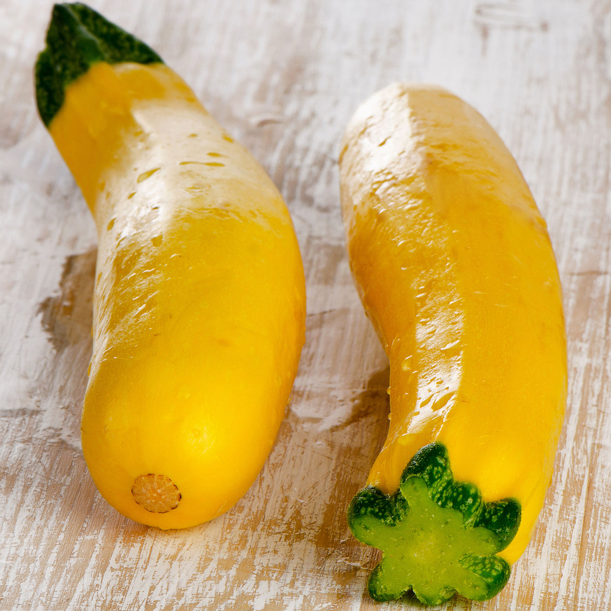 A shot of Early Prolific Straightneck squash showing their yelow skin and green stem.